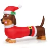 Costway 5 Ft. Pre-Lit LED Lights Christmas Dog Christmas Inflatable With Waterproof Fan -Alpine Corporation Shop costway christmas inflatables cm22881us 64 1000