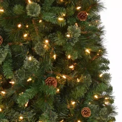 Home Accents Holiday 9 Ft Alexander Pine Pre-Lit LED Artificial Christmas Tree With 650 SureBright Warm White Lights 18 Home Accents Holiday 9 Ft Alexander Pine Pre-Lit LED Artificial Christmas Tree With 650 SureBright Warm White Lights -Alpine Corporation Shop home accents holiday pre lit christmas trees tg90m5311l05 40 1000