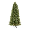 Home Decorators Collection 7.5 Ft Lachlan Balsam Fir Slim LED Pre-Lit Artificial Christmas Tree With 460 Color Changing Lights With 7 Functions -Alpine Corporation Shop home decorators collection pre lit christmas trees r64875slpyt5wm 64 1000