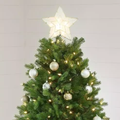 Home Decorators Collection 7.5 Ft Lachlan Balsam Fir Slim LED Pre-Lit Artificial Christmas Tree With 460 Color Changing Lights With 7 Functions -Alpine Corporation Shop home decorators collection pre lit christmas trees r64875slpyt5wm 77 1000