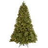 National Tree Company 7 Ft. Downswept Douglas Fir Artificial Christmas Tree With Clear Lights 1 National Tree Company 7 Ft. Downswept Douglas Fir Artificial Christmas Tree With Clear Lights -Alpine Corporation Shop national tree company pre lit christmas trees pedd3 312 70 64 1000