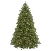 National Tree Company 9 Ft. Jersey Fraser Fir Artificial Christmas Tree With Clear Lights 1 National Tree Company 9 Ft. Jersey Fraser Fir Artificial Christmas Tree With Clear Lights -Alpine Corporation Shop national tree company pre lit christmas trees pejf1 300 90 64 1000