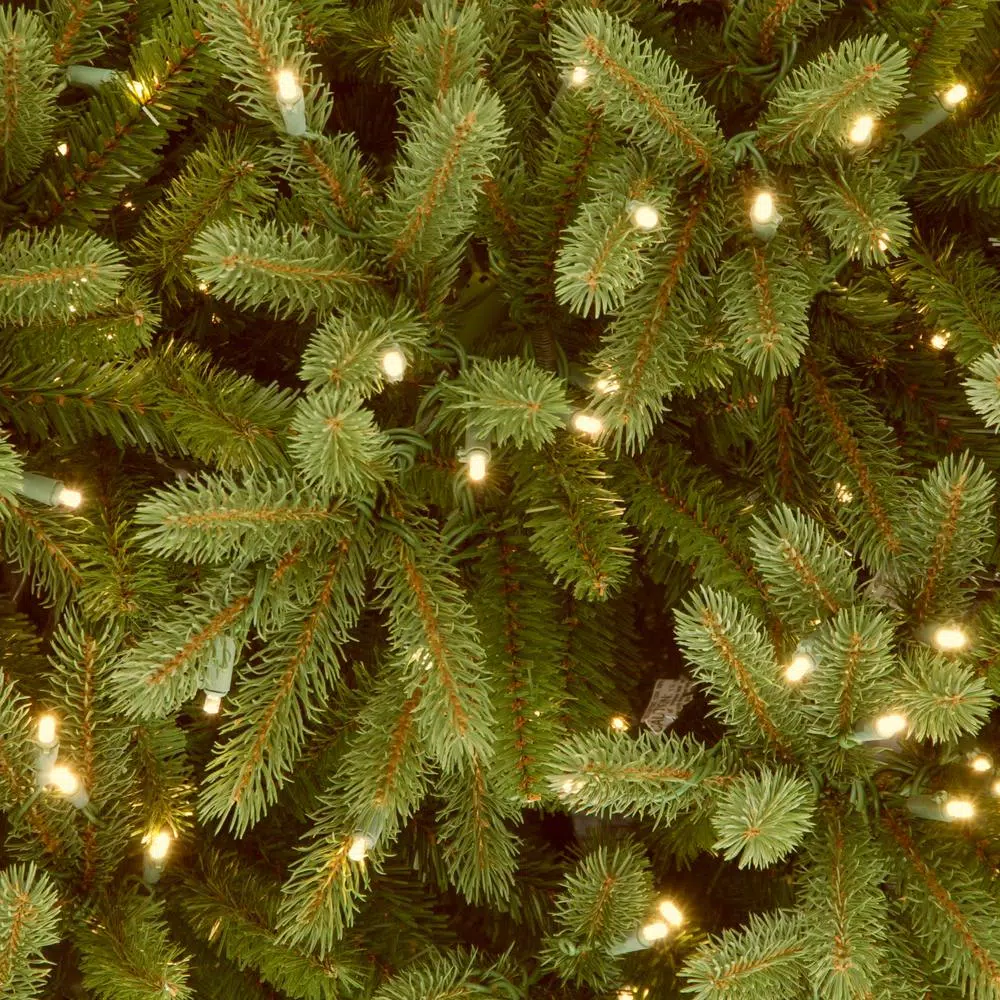 National Tree Company 12 Ft. Jersey Fraser Fir Pencil Slim Artificial Christmas Tree With Clear Lights 5 National Tree Company 12 Ft. Jersey Fraser Fir Pencil Slim Artificial Christmas Tree With Clear Lights - Image 3