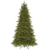 National Tree Company 7.5 Ft. Northern Frasier Fir Artificial Christmas Tree With Clear Lights -Alpine Corporation Shop national tree company pre lit christmas trees peno4 307 75 64 1000