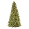 National Tree Company 12 Ft. Feel Real Tiffany Fir Slim Hinged Artificial Christmas Tree With 1200 Clear Lights -Alpine Corporation Shop national tree company pre lit christmas trees petf3 304 120 64 1000