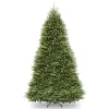 National Tree Company 10 Ft. Dunhill Fir Artificial Christmas Tree 2 National Tree Company 10 Ft. Dunhill Fir Artificial Christmas Tree -Alpine Corporation Shop national tree company unlit christmas trees duh 100 64 1000