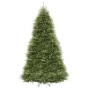 National Tree Company 12 Ft. Dunhill Fir Hinged Artificial Christmas Tree 2 National Tree Company 12 Ft. Dunhill Fir Hinged Artificial Christmas Tree -Alpine Corporation Shop national tree company unlit christmas trees duh 120 64 1000