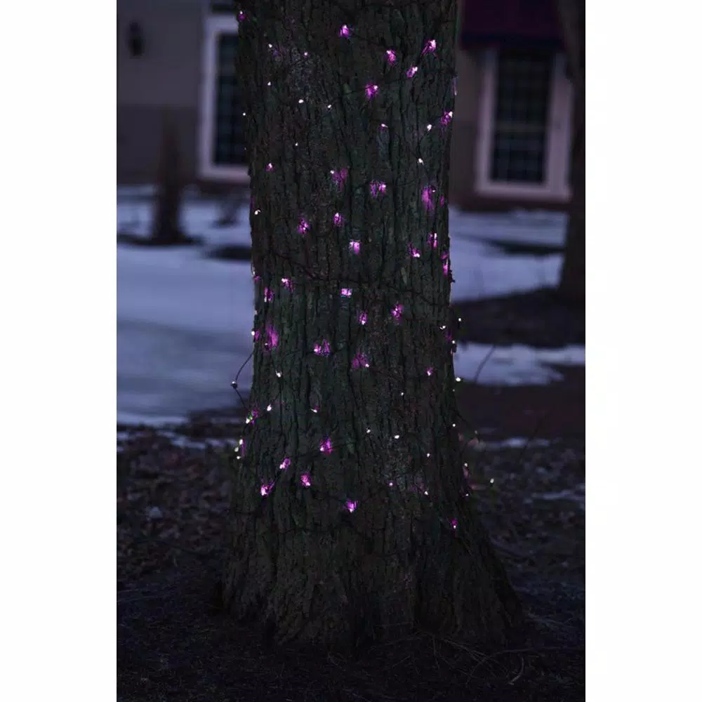 Northlight 2 Ft. X 8 Ft. Purple Mini Net Style Tree Trunk Wrap Christmas Lights With Brown Wire 5 Northlight 2 Ft. X 8 Ft. Purple Mini Net Style Tree Trunk Wrap Christmas Lights With Brown Wire - Image 3