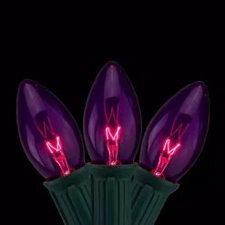 Northlight 12 In. Set Of 25 Transparent Purple C9 Christmas Lights Spacing – Green Wire