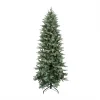 Northlight 12 Ft. X 62 In. Pre-Lit Washington Frasier Fir Slim Artificial Christmas Tree Clear Lights 2 Northlight 12 Ft. X 62 In. Pre-Lit Washington Frasier Fir Slim Artificial Christmas Tree Clear Lights -Alpine Corporation Shop pre lit christmas trees 31451101 64 1000
