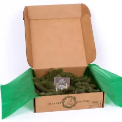 VAN ZYVERDEN 16 In. Live Fresh Cut Pacific Northwest Noble Fir Christmas Wreath With Cones -Alpine Corporation Shop van zyverden christmas wreaths 87400 1f 1000