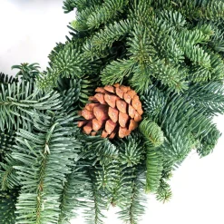 VAN ZYVERDEN 16 In. Live Fresh Cut Pacific Northwest Noble Fir Christmas Wreath With Cones -Alpine Corporation Shop van zyverden christmas wreaths 87400 4f 1000