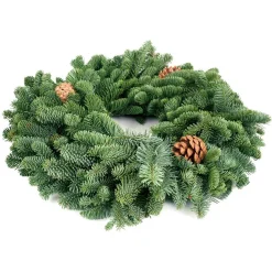 VAN ZYVERDEN 16 In. Live Fresh Cut Pacific Northwest Noble Fir Christmas Wreath With Cones -Alpine Corporation Shop van zyverden christmas wreaths 87400 c3 1000