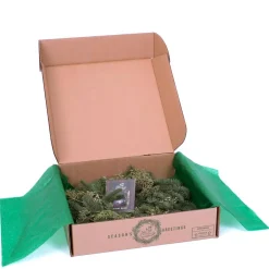 VAN ZYVERDEN 20 In. Live Fresh Cut Pacific Northwest Juniper Christmas Wreath 9 VAN ZYVERDEN 20 In. Live Fresh Cut Pacific Northwest Juniper Christmas Wreath -Alpine Corporation Shop van zyverden christmas wreaths 87402 1f 1000