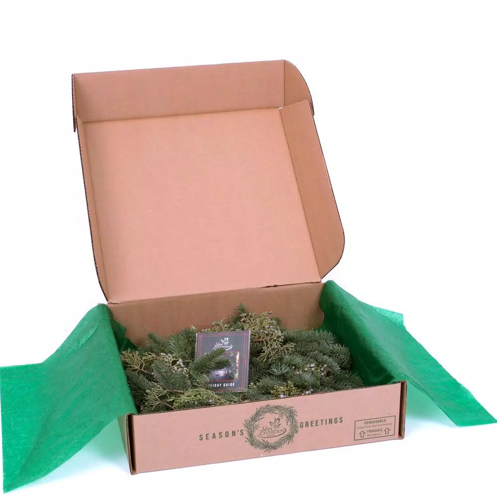 VAN ZYVERDEN 20 In. Live Fresh Cut Pacific Northwest Juniper Christmas Wreath 6 VAN ZYVERDEN 20 In. Live Fresh Cut Pacific Northwest Juniper Christmas Wreath - Image 4