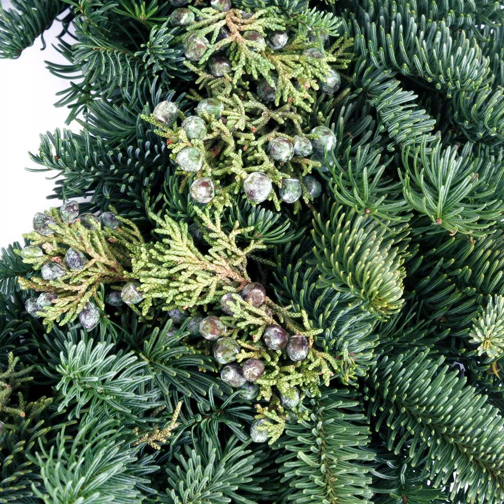 VAN ZYVERDEN 20 In. Live Fresh Cut Pacific Northwest Juniper Christmas Wreath 5 VAN ZYVERDEN 20 In. Live Fresh Cut Pacific Northwest Juniper Christmas Wreath - Image 3
