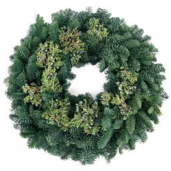 VAN ZYVERDEN 20 In. Live Fresh Cut Pacific Northwest Juniper Christmas Wreath