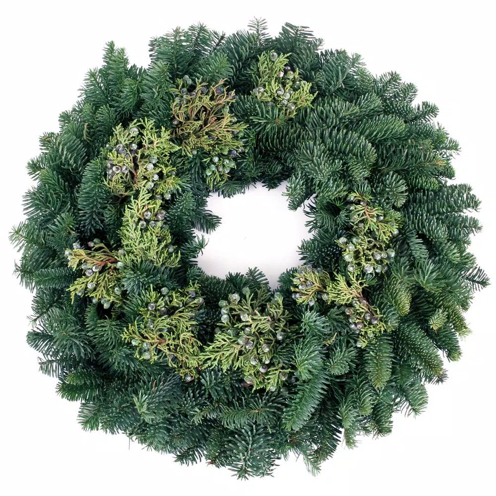VAN ZYVERDEN 20 In. Live Fresh Cut Pacific Northwest Juniper Christmas Wreath 3 VAN ZYVERDEN 20 In. Live Fresh Cut Pacific Northwest Juniper Christmas Wreath