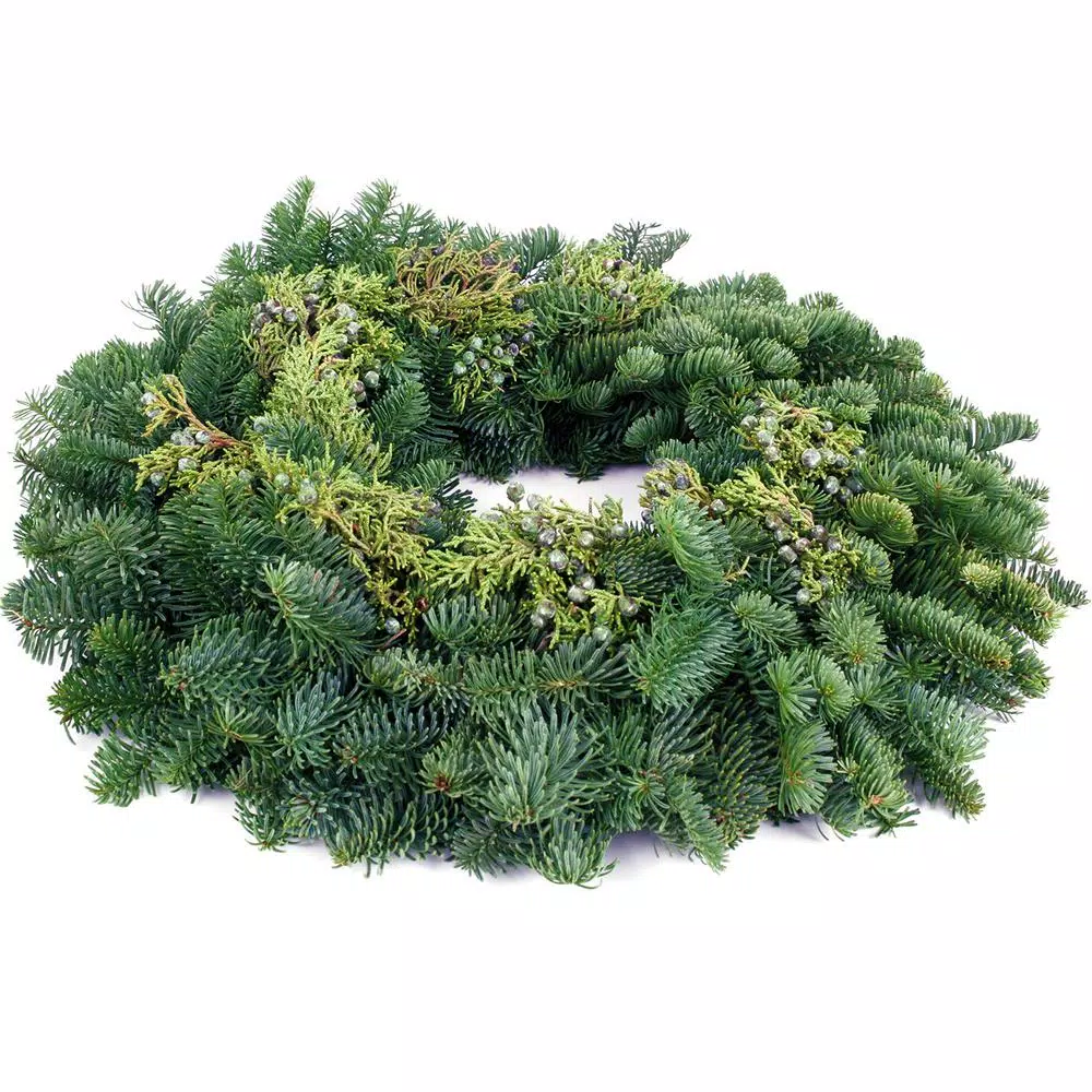 VAN ZYVERDEN 20 In. Live Fresh Cut Pacific Northwest Juniper Christmas Wreath 4 VAN ZYVERDEN 20 In. Live Fresh Cut Pacific Northwest Juniper Christmas Wreath - Image 2