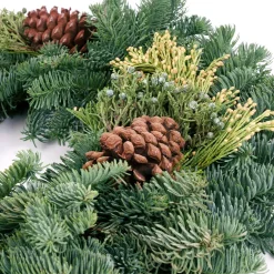 VAN ZYVERDEN 20 In. Live Fresh Cut Pacific Northwest Mixed Christmas Wreath Pine Cone Decorated -Alpine Corporation Shop van zyverden christmas wreaths 87433 1f 1000