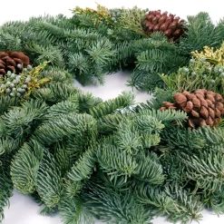 VAN ZYVERDEN 20 In. Live Fresh Cut Pacific Northwest Mixed Christmas Wreath Pine Cone Decorated -Alpine Corporation Shop van zyverden christmas wreaths 87433 4f 1000