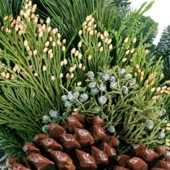 VAN ZYVERDEN 20 In. Live Fresh Cut Pacific Northwest Grape Vine And Greens Christmas Wreath -Alpine Corporation Shop van zyverden christmas wreaths 87434 1f 1000