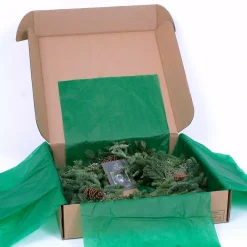 VAN ZYVERDEN 24 In. Live Fresh Cut Pacific Northwest Mixed Christmas Wreath Pine Cone Decorated -Alpine Corporation Shop van zyverden christmas wreaths 87435 fa 1000