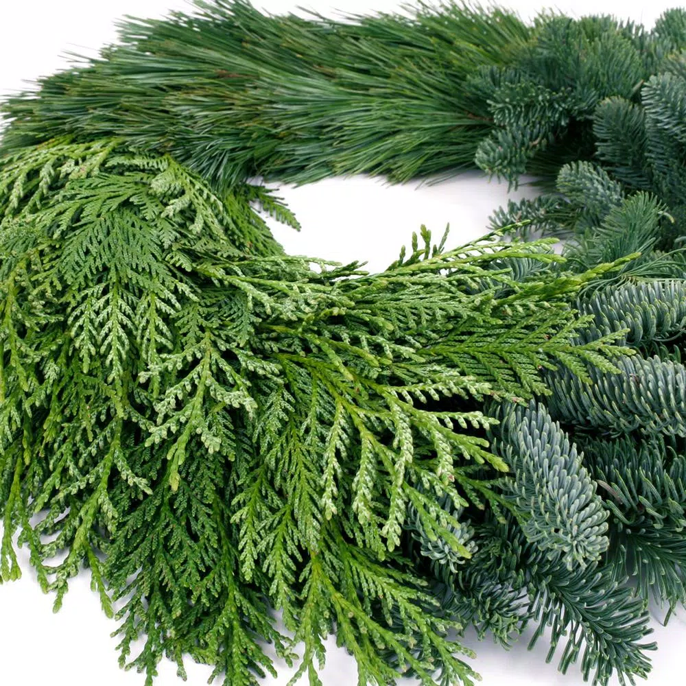 VAN ZYVERDEN 24 In. Live Fresh Cut Pacific Northwest Modern Block Christmas Wreath 6 VAN ZYVERDEN 24 In. Live Fresh Cut Pacific Northwest Modern Block Christmas Wreath - Image 4