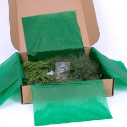 VAN ZYVERDEN 24 In. Live Fresh Cut Pacific Northwest Modern Block Christmas Wreath 11 VAN ZYVERDEN 24 In. Live Fresh Cut Pacific Northwest Modern Block Christmas Wreath -Alpine Corporation Shop van zyverden christmas wreaths 87436 44 1000