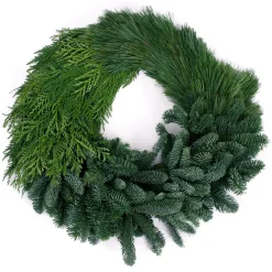 VAN ZYVERDEN 24 In. Live Fresh Cut Pacific Northwest Modern Block Christmas Wreath 9 VAN ZYVERDEN 24 In. Live Fresh Cut Pacific Northwest Modern Block Christmas Wreath -Alpine Corporation Shop van zyverden christmas wreaths 87436 4f 1000