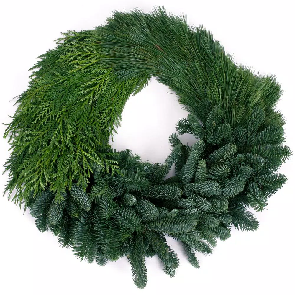 VAN ZYVERDEN 24 In. Live Fresh Cut Pacific Northwest Modern Block Christmas Wreath 5 VAN ZYVERDEN 24 In. Live Fresh Cut Pacific Northwest Modern Block Christmas Wreath - Image 3
