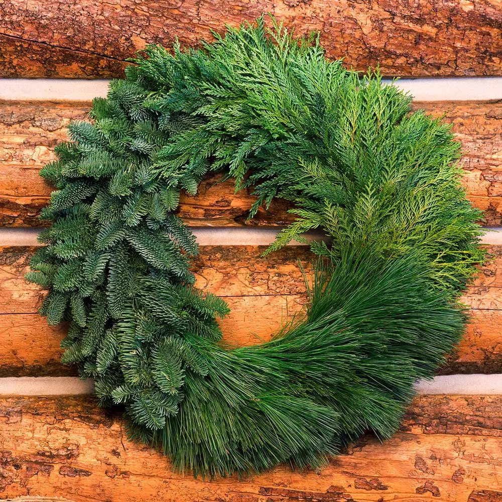 VAN ZYVERDEN 24 In. Live Fresh Cut Pacific Northwest Modern Block Christmas Wreath 4 VAN ZYVERDEN 24 In. Live Fresh Cut Pacific Northwest Modern Block Christmas Wreath - Image 2