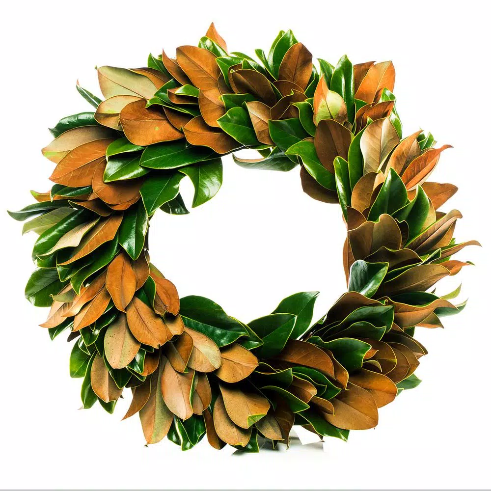 VAN ZYVERDEN 24 In. Classic Magnolia Christmas Wreath 3 VAN ZYVERDEN 24 In. Classic Magnolia Christmas Wreath