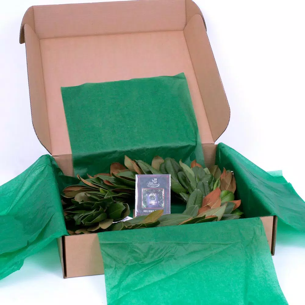 VAN ZYVERDEN 24 In. Classic Magnolia Christmas Wreath 4 VAN ZYVERDEN 24 In. Classic Magnolia Christmas Wreath - Image 2