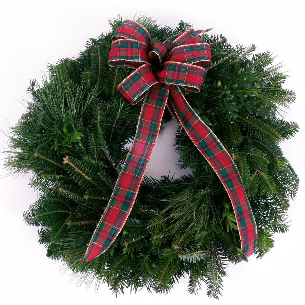 VAN ZYVERDEN 16 In. Live Fresh Cut Blue Ridge Mountain Mixed Window Christmas Wreath With Bow 3 VAN ZYVERDEN 16 In. Live Fresh Cut Blue Ridge Mountain Mixed Window Christmas Wreath With Bow