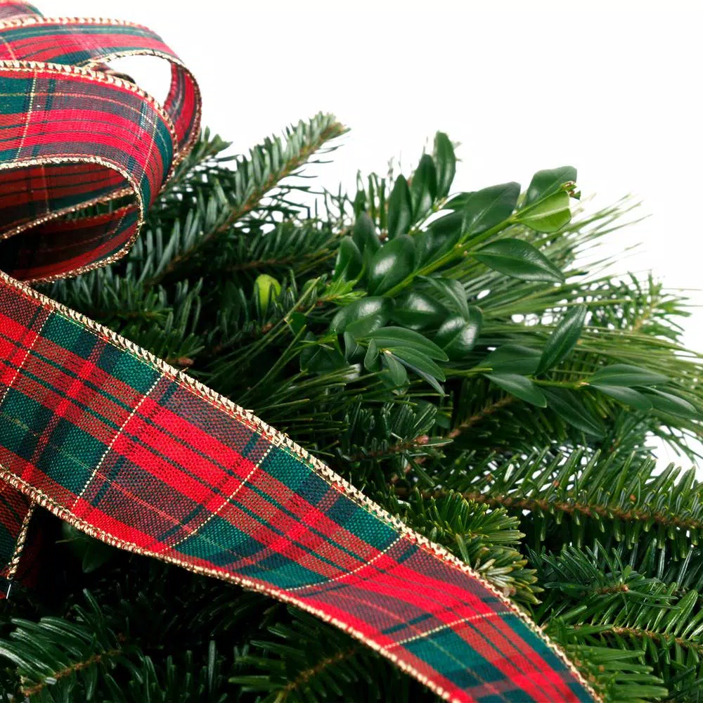 VAN ZYVERDEN 16 In. Live Fresh Cut Blue Ridge Mountain Mixed Window Christmas Wreath With Bow 4 VAN ZYVERDEN 16 In. Live Fresh Cut Blue Ridge Mountain Mixed Window Christmas Wreath With Bow - Image 2