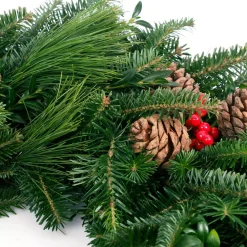 VAN ZYVERDEN 24 In. Live Fresh Cut Blue Ridge Mountain Mixed Christmas Wreath With Cones And Berries 8 VAN ZYVERDEN 24 In. Live Fresh Cut Blue Ridge Mountain Mixed Christmas Wreath With Cones And Berries -Alpine Corporation Shop van zyverden christmas wreaths 87447 4f 1000