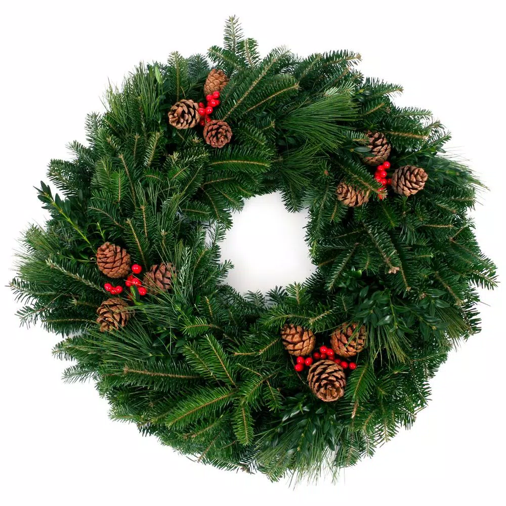 VAN ZYVERDEN 24 In. Live Fresh Cut Blue Ridge Mountain Mixed Christmas Wreath With Cones And Berries 3 VAN ZYVERDEN 24 In. Live Fresh Cut Blue Ridge Mountain Mixed Christmas Wreath With Cones And Berries