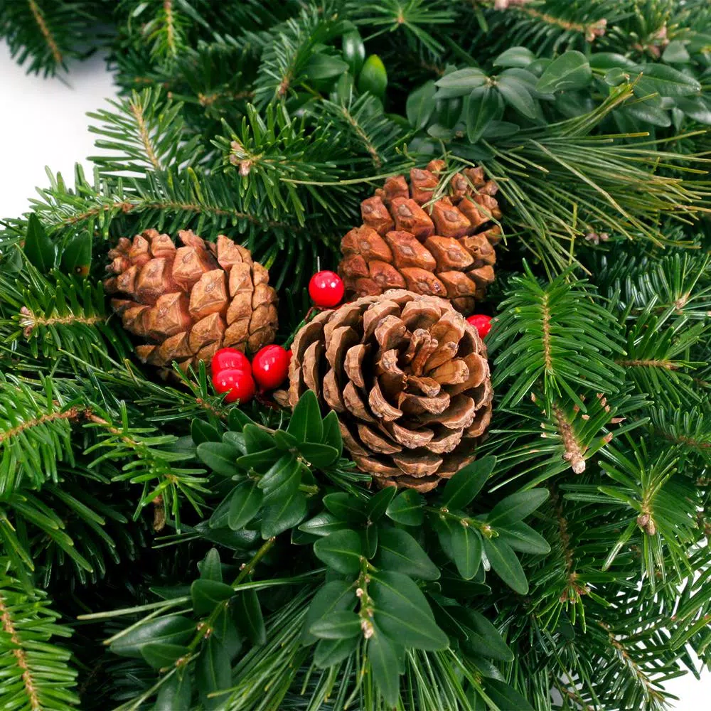 VAN ZYVERDEN 24 In. Live Fresh Cut Blue Ridge Mountain Mixed Christmas Wreath With Cones And Berries 4 VAN ZYVERDEN 24 In. Live Fresh Cut Blue Ridge Mountain Mixed Christmas Wreath With Cones And Berries - Image 2