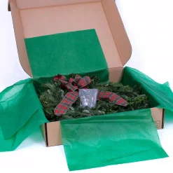 VAN ZYVERDEN 24 In. Live Fresh Cut Blue Ridge Mountain Mixed Christmas Wreath With Bow -Alpine Corporation Shop van zyverden christmas wreaths 87448 1f 1000
