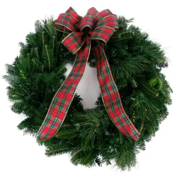 VAN ZYVERDEN 24 In. Live Fresh Cut Blue Ridge Mountain Mixed Christmas Wreath With Bow