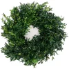 VAN ZYVERDEN 12 In. Live Fresh Cut Blue Ridge Mountain Box Wood Window Christmas Wreath -Alpine Corporation Shop van zyverden christmas wreaths 87551 64 1000