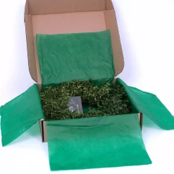 VAN ZYVERDEN 22 In. Live Fresh Cut Blue Ridge Mountain Box Wood Christmas Wreath -Alpine Corporation Shop van zyverden christmas wreaths 87552 44 1000