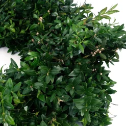 VAN ZYVERDEN 22 In. Live Fresh Cut Blue Ridge Mountain Box Wood Christmas Wreath -Alpine Corporation Shop van zyverden christmas wreaths 87552 4f 1000