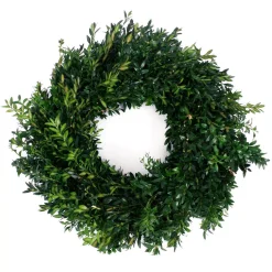 VAN ZYVERDEN 22 In. Live Fresh Cut Blue Ridge Mountain Box Wood Christmas Wreath